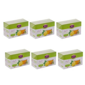  کیسه ای نعناع و لیمو تسنیم طلایی بسته 6 عددی6333e7cfcde8063380